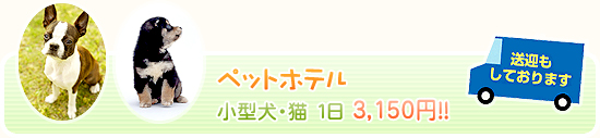 �y�b�g�z�e���@���^���E�L�@1���@3,150�~�I�I