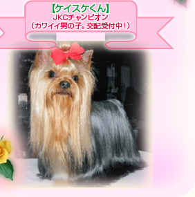 �y�P�C�X�P����zJKC�`�����s�I���i�J���C�C�j�̎q�B��z��t���I�j