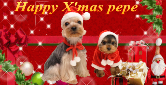 この可愛さに誰もが癒されます