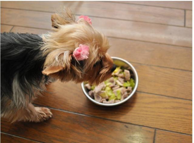生後11日目のサムネイル写真